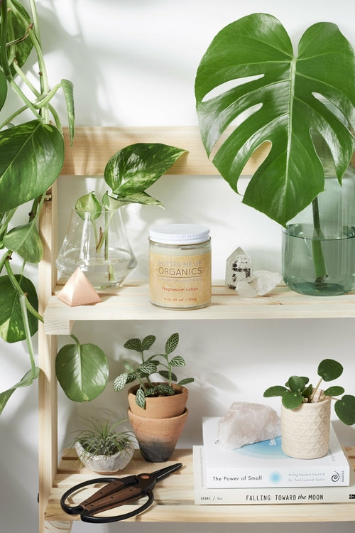 Shelving unit with plants, books, and a jar labeled 'Organics' on a white wall.