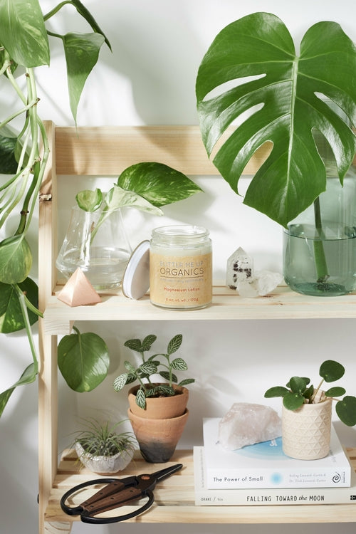 Shelf with plants, books, and a candle in a home setting