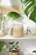 Candle labeled 'Better Me Organics' on a shelf with plants and crystals