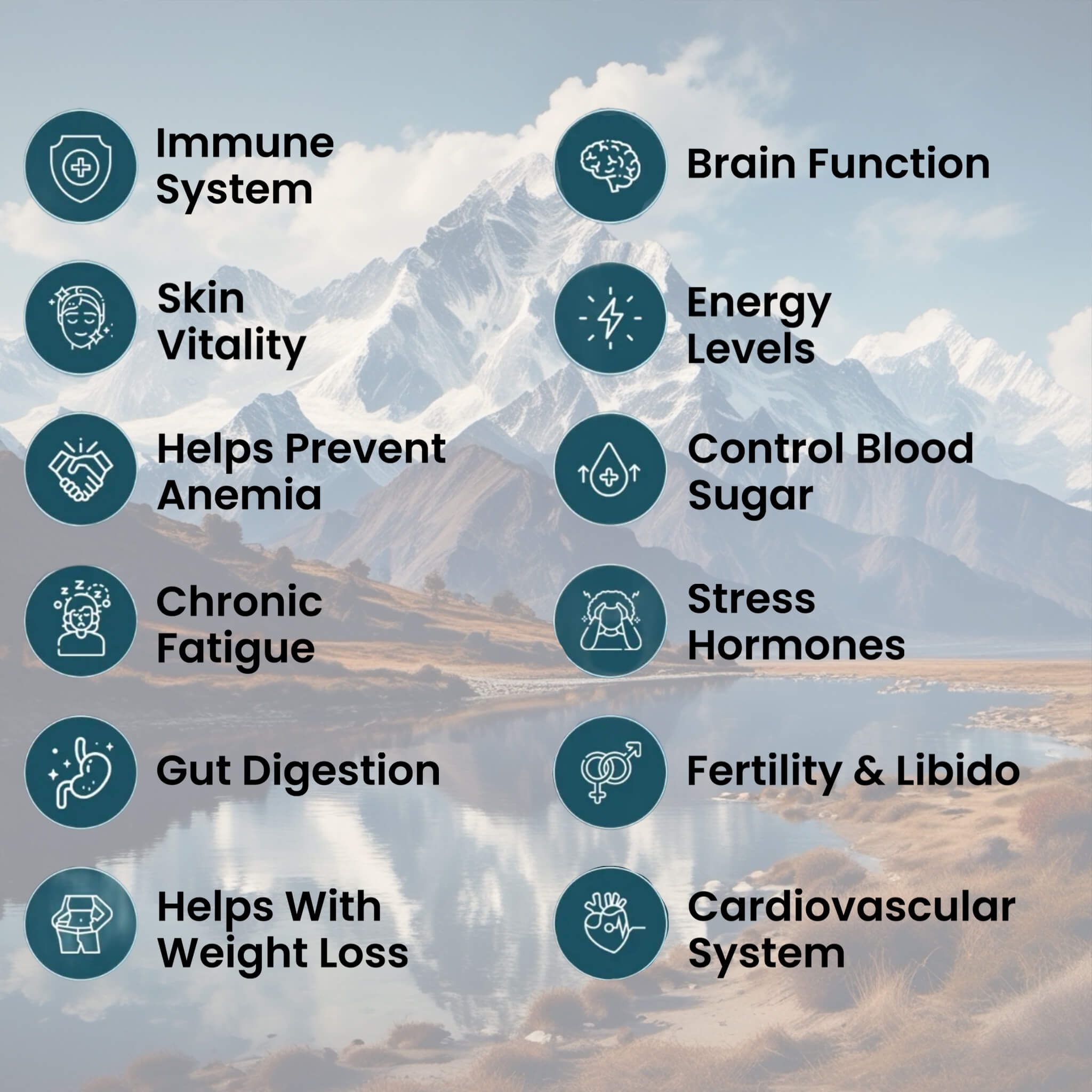 Himalayan Shilajit Resin | 30g | Pure Extract