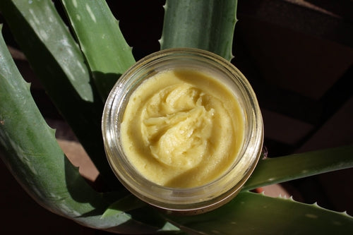 Organic Anti-Ageing Night Cream - Green Tea, Rosehip & Frankincense