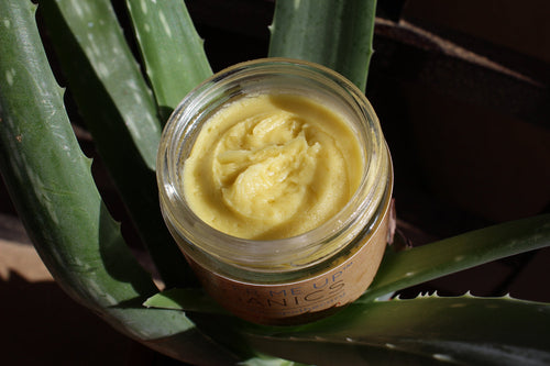 Organic Anti-Ageing Night Cream - Green Tea, Rosehip & Frankincense
