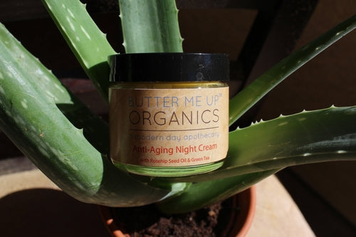 Organic Anti-Ageing Night Cream - Green Tea, Rosehip & Frankincense