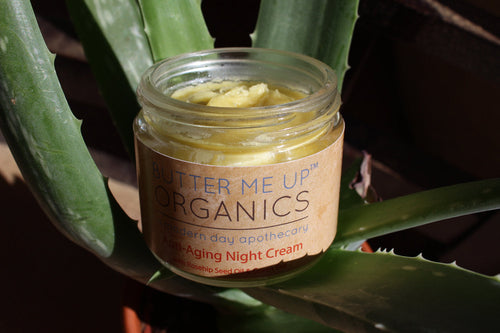 Organic Anti-Ageing Night Cream - Green Tea, Rosehip & Frankincense